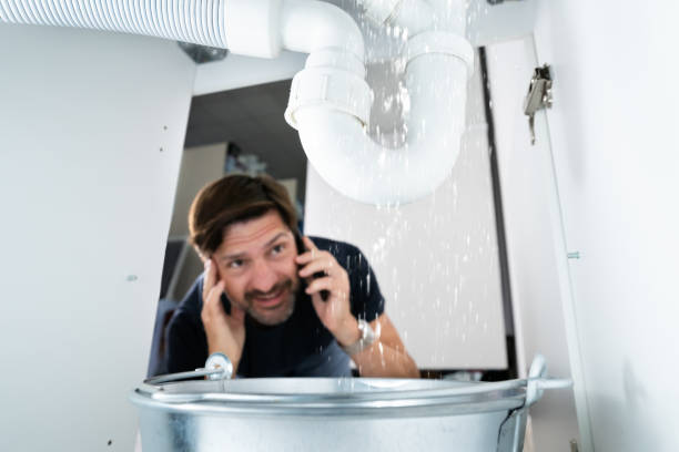 Best Local Plumber Services  in Mangonia Park, FL